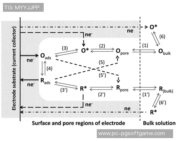 最新pg电子网站-最新PG电子网站的发展动态及未来展望-最新pg电子网站
